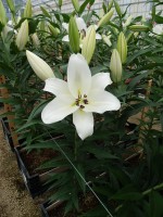 [5618 VH48 No01.JPG]